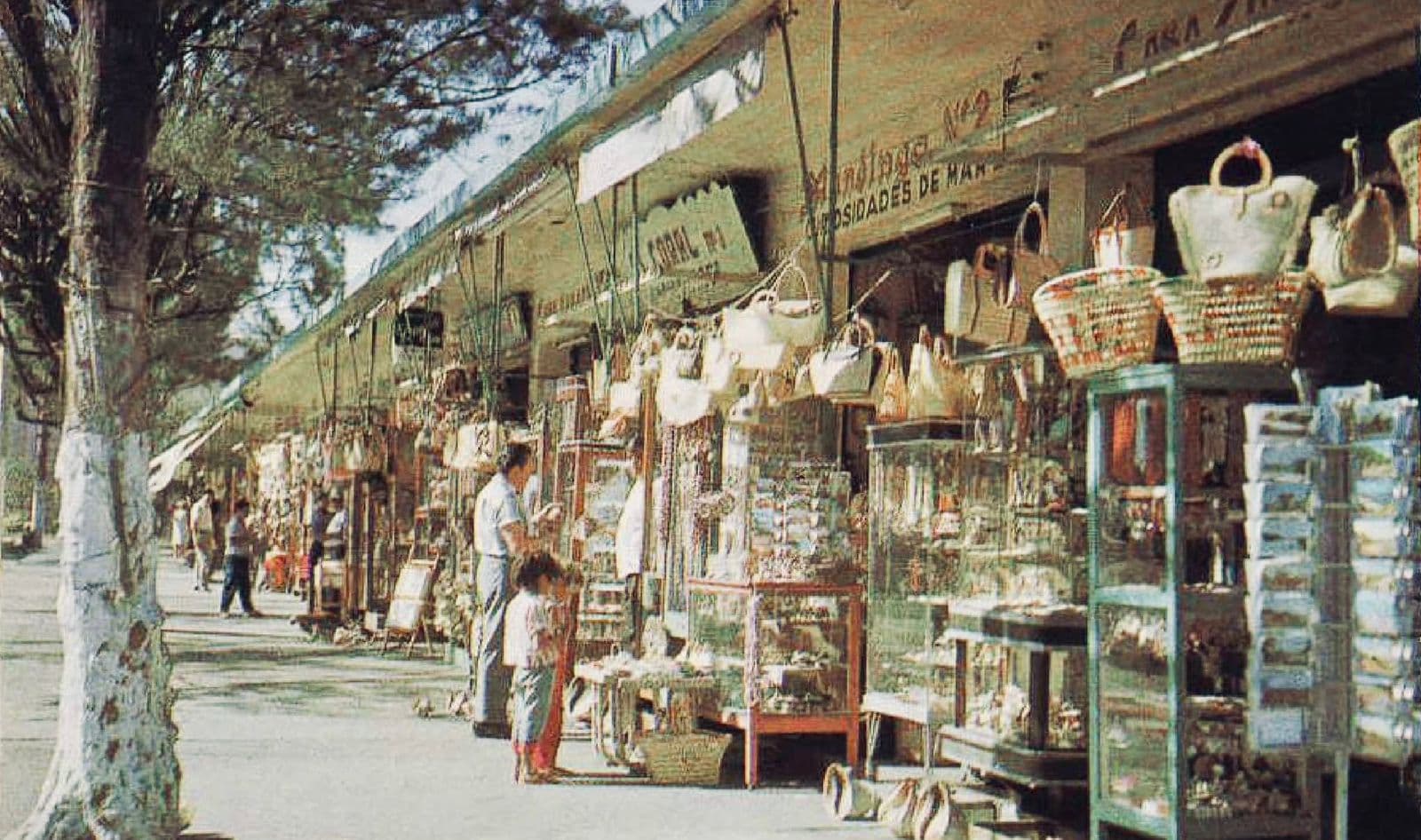 Tradiciones que perduran: oficios antiguos que aún se practican en Veracruz